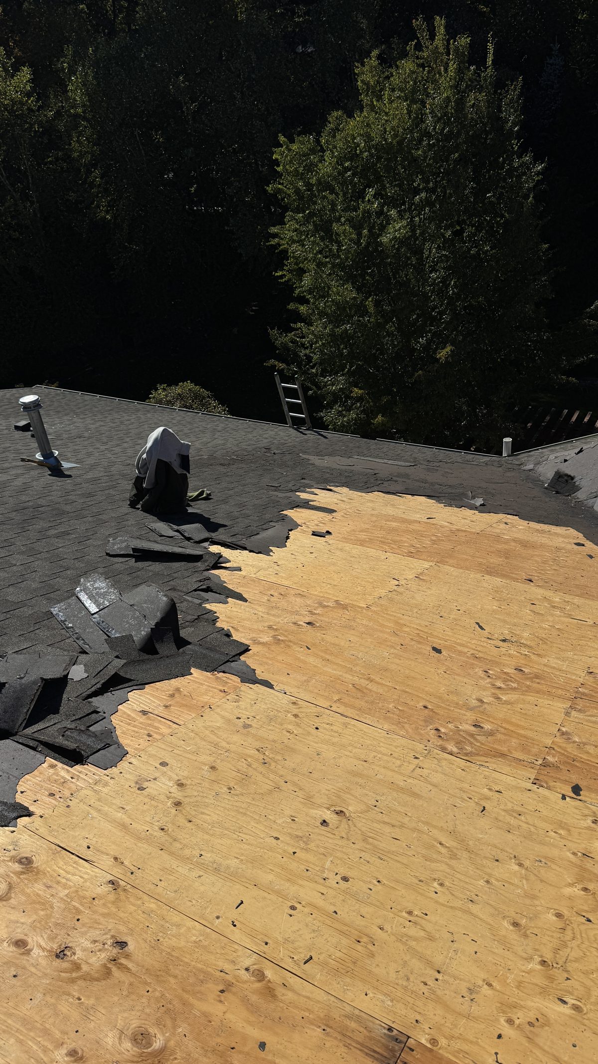 White PVC plumbing vent pipe and a metal vent pipe with a storm collar on an exposed roof deck during a roof replacement in Florham Park, NJ