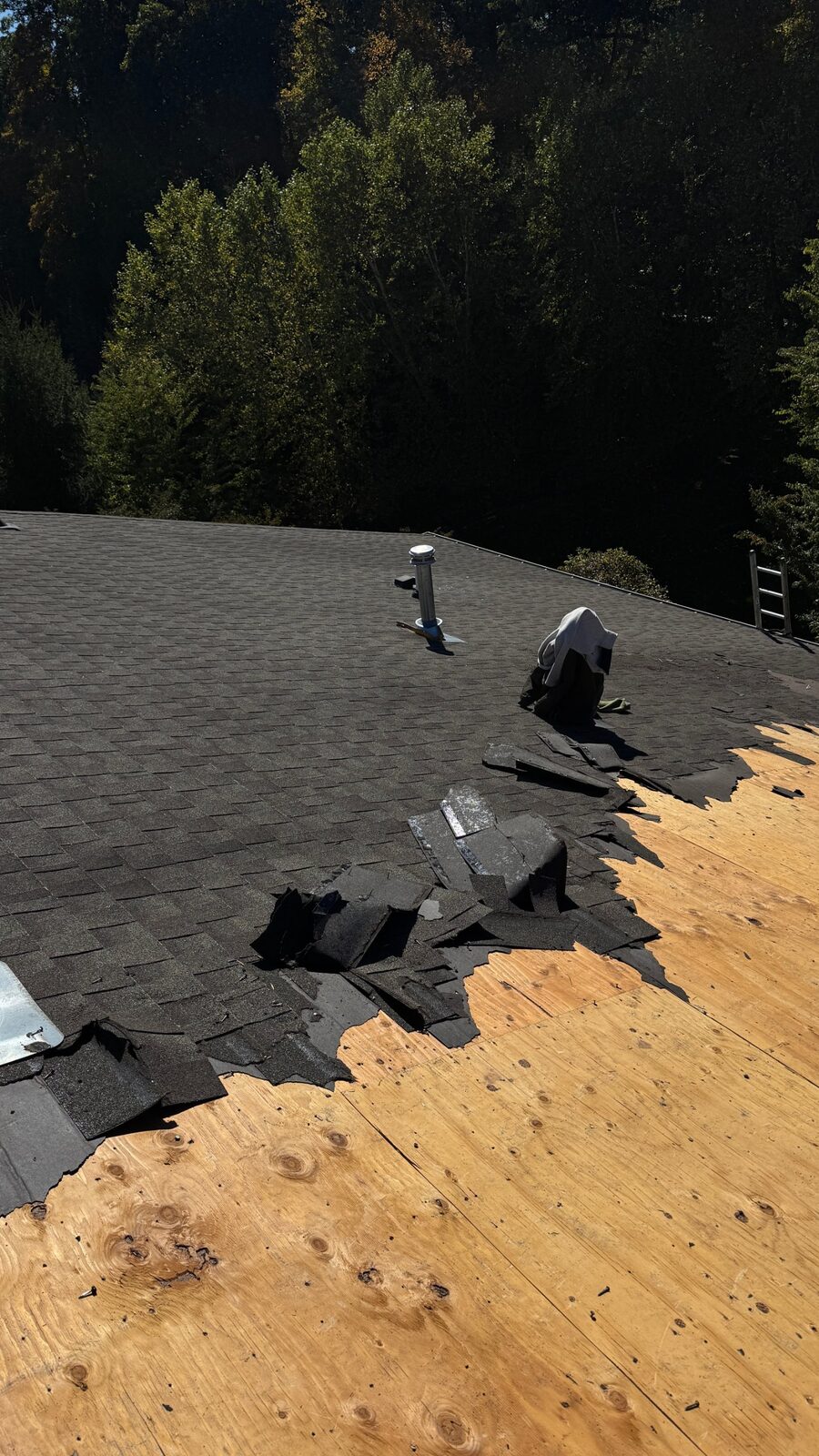 Roof replacement in progress on a Morris Plains, NJ home with half the old dark shingles torn off exposing the plywood deck, pipe boot visible, ladder at right edge, heavy tree cover behind the house