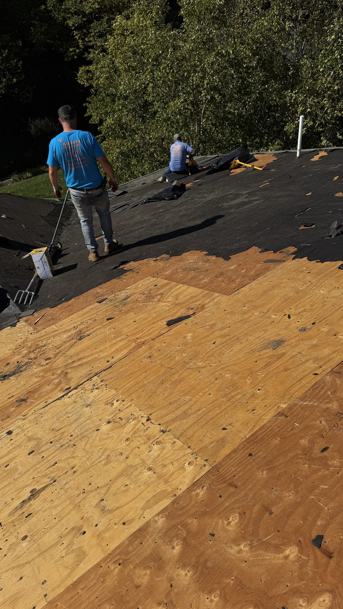 Exposed plywood roof decking in staggered sheets during a roof tear-off in Rockaway, NJ