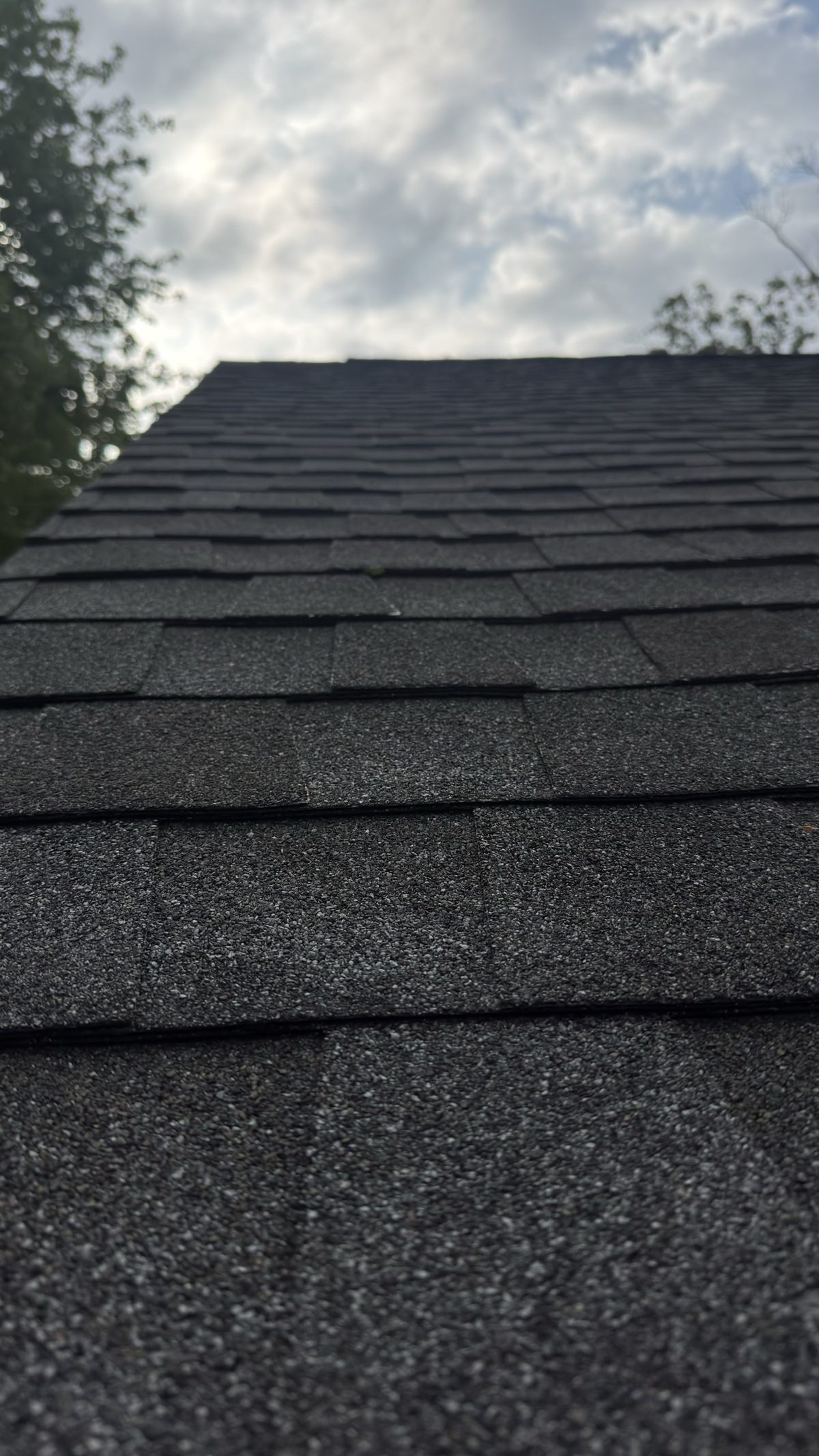 Low-angle view up the dark architectural shingle courses of a Montville, NJ roof with tree branches at the roofline